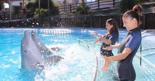 Parque de Diversões Selwo Marina