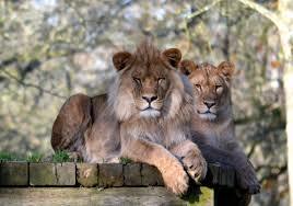 Jardim Zoológico de Newquay