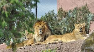 Zoológico de Fréjus