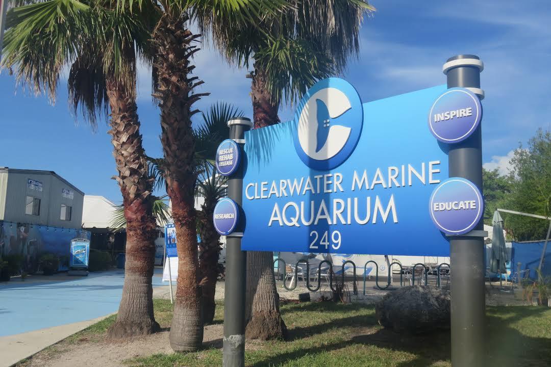 Aquário Marinho de Clearwater