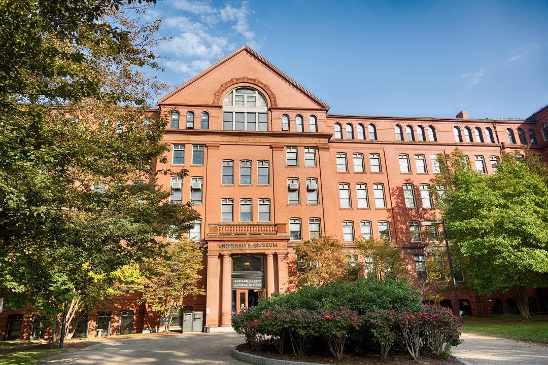 Museu de História Natural da Universidade de Harvard