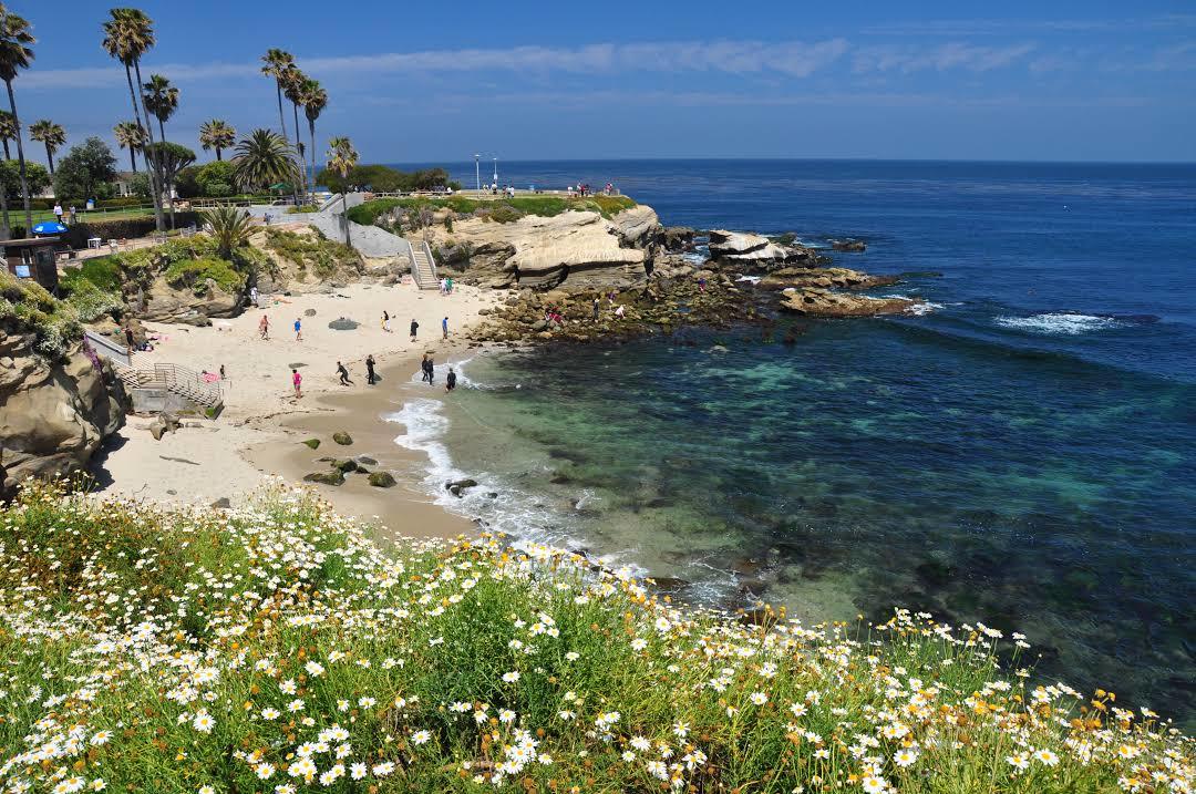 La Jolla Cove Beach