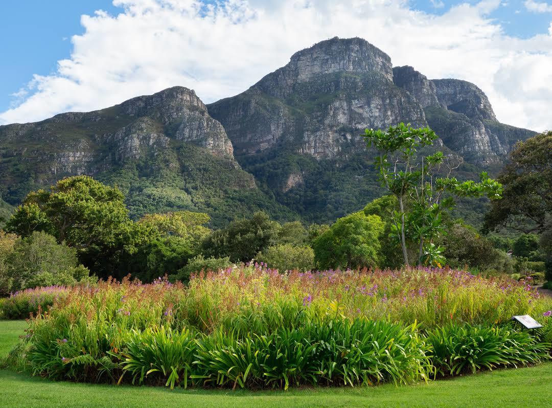 Jardim Botânico Nacional de Kirstenbosch