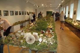 Museu da História Natural da Letónia