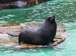 Jardim Zoológico de Dortmund