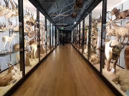 Museu de História Natural de Tring