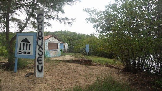 Eco Museu Natural do Mangue de Sabiaguaba