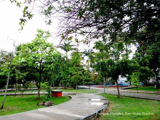 Parque Florestal Fernando Silvestre