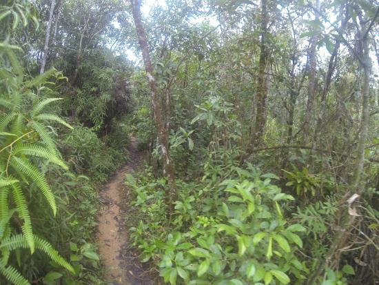 Parque Nacional de Saint Hilaire