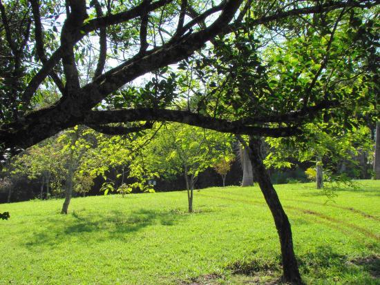 Parque Ecológico Eugênio Walter