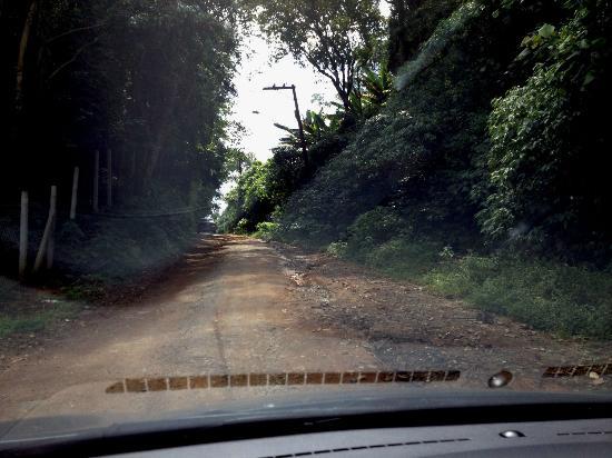 Fazendinha Dos Pequeninos