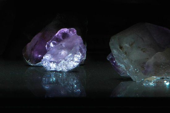 MAPA - Museu de Arqueologia e Paleontologia de Araraquara