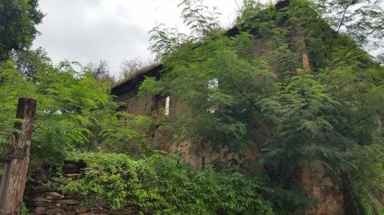 Ruínas do Solar Melo Viana