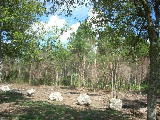 Seminole Wayside Park