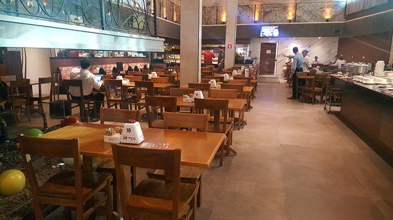 Belas Artes Vida Nova