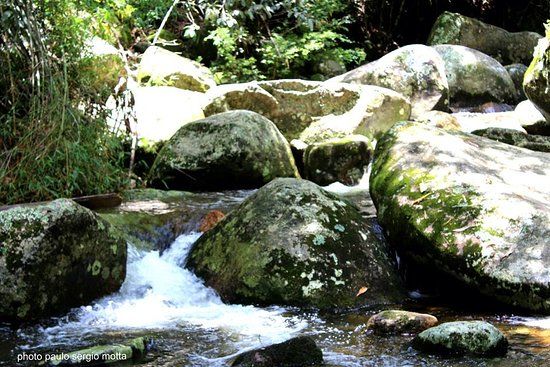 Parque Municipal Juarez Frotté