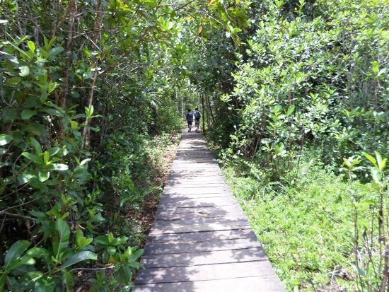 Cachoeira das Orquídeas