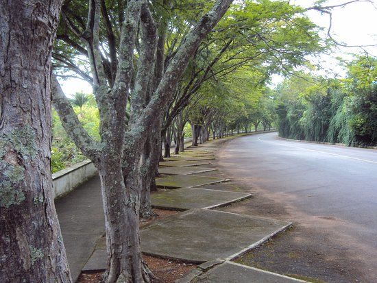 Parque Zoologico Municipal de Alfenas