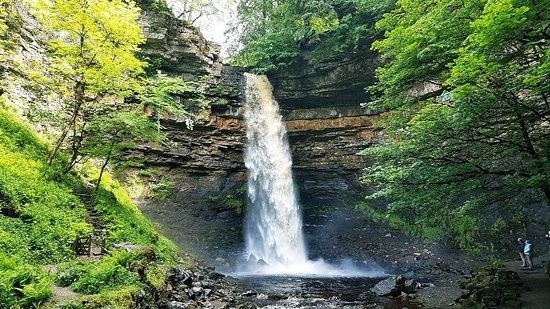 Hardraw Force