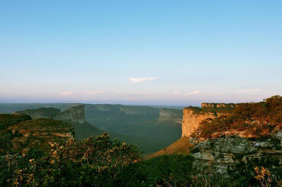 Orquidário Pai Inácio