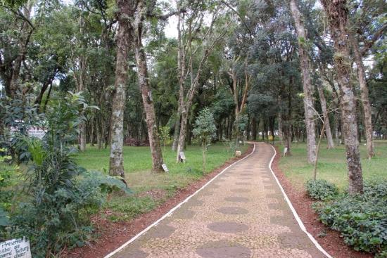 Parque Palmital