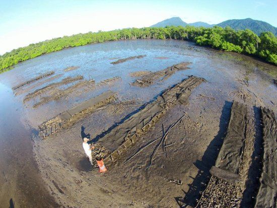 Reserva Extrativista Do Mandira