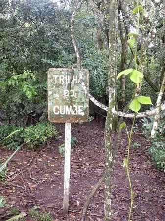 Parque Estadual Mata do Pau Ferro