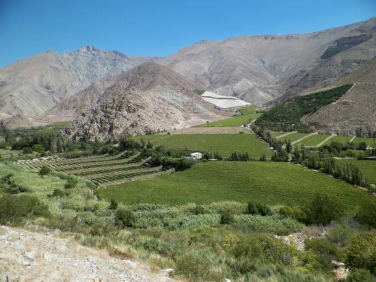 Valle del Elqui