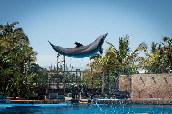 Parque Temático uShaka Marine World