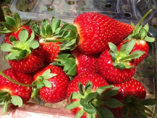 Sítio Herança Agroturismo