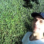 Confeitaria e Padaria Clarice Majolo