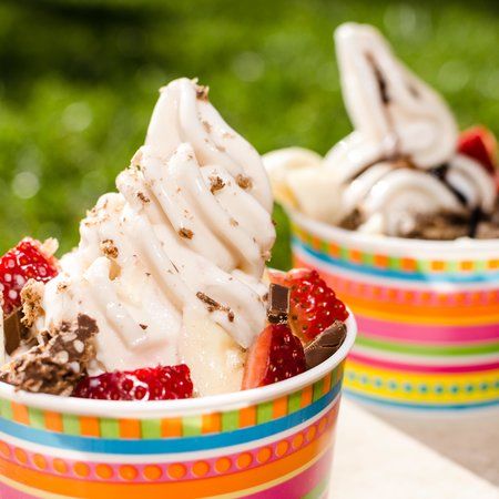 MOO Frozen Yogurt Bar