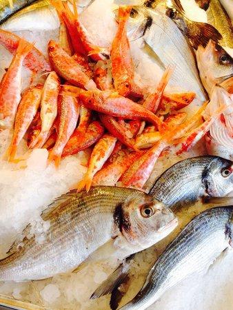 Balikci Osman & Muharrem Restaurant