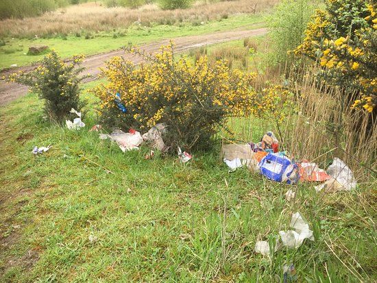 Lyme and Wood Pits Country Park