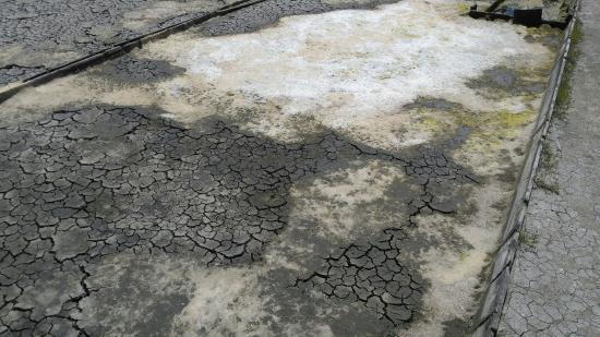 Núcleo Museológico do Mar