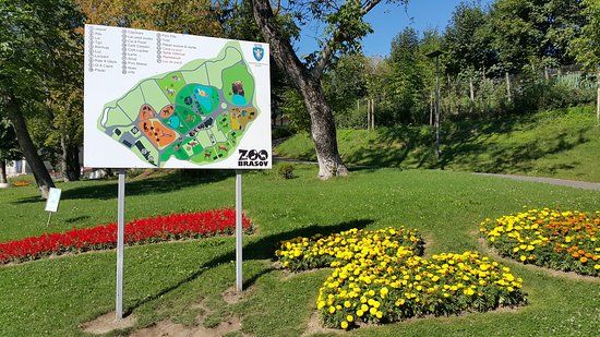 Zoo Brasov