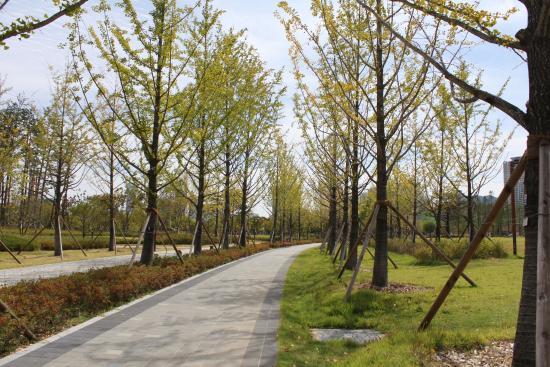 Parque dos Cidadãos de Busan