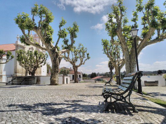 Jardim do Terreiro do Paço