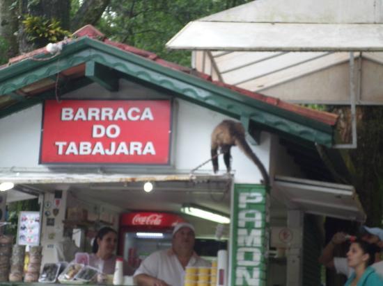 Barraca Do Tabajara