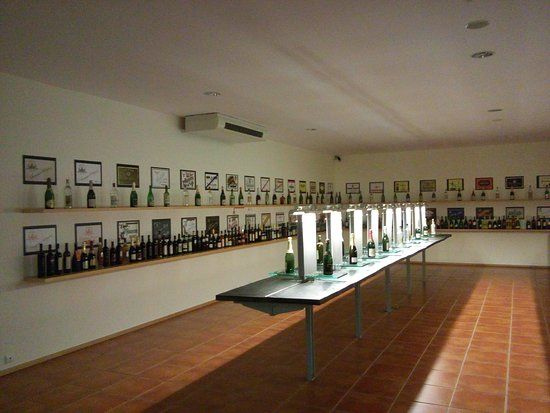 Museu do Vinho Bairrada