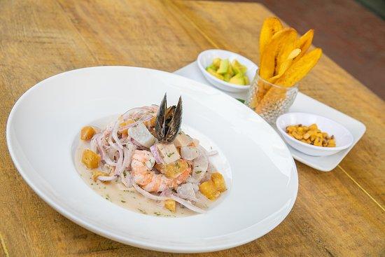 Cilantro Cevicheria & Restaurant
