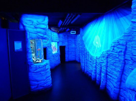 Sea Life Great Yarmouth