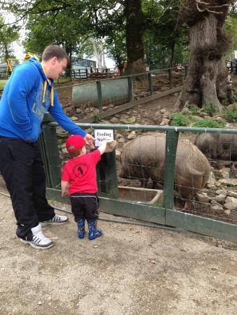 Lurgybrack Open Farm