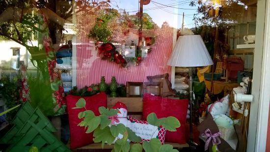 Muito Além do Jardim