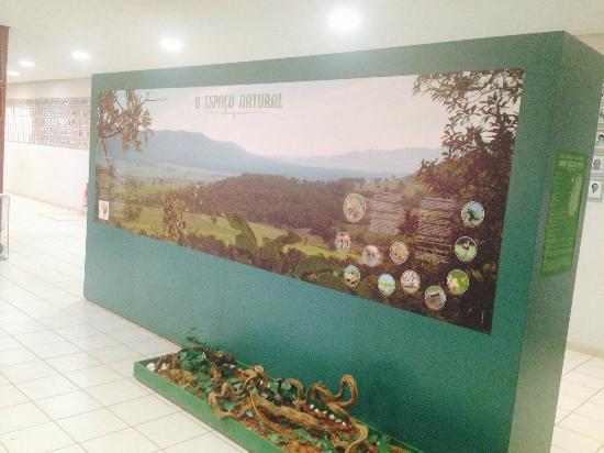 Museu Histórico Mário Augusto Alves