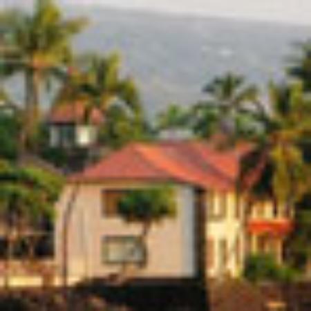 Lanchonete E Sorveteria Tropical