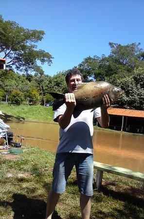 Bar Do Recanto Dos Amigos