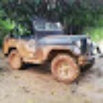 Papa - Leguas Lanches