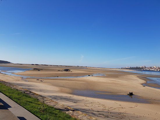 Reserva Natural Estuário do Douro