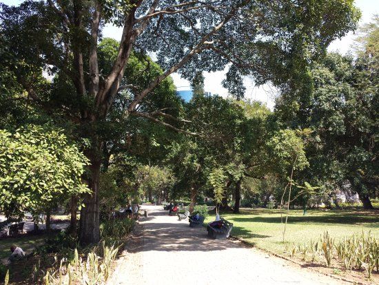 Jardim Botânico Tunduru